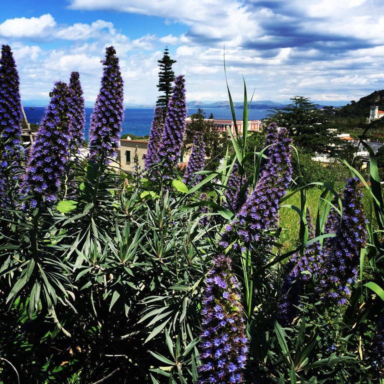 Hotel & Residence Matarese Casamicciola Terme Dış mekan fotoğraf